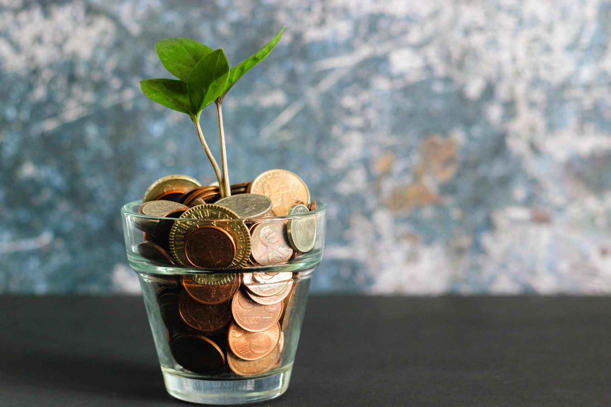 Plant growing from cup of coins