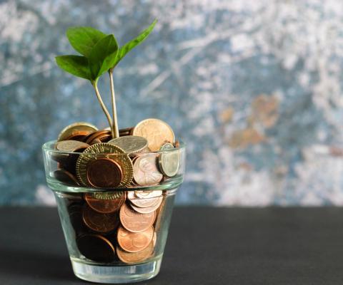 Plant growing from cup of coins